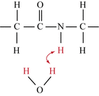 NMR relaxation, chemical exchange
