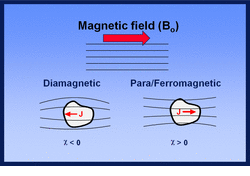 Magnetic susceptibility, diamagnetism, paramagnetism, ferromagnetism, superparamagnetism