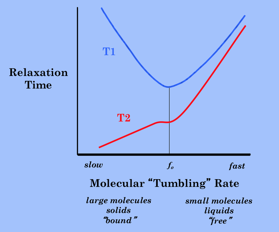 relaxation-time-t1-t2-questions-and-answers-in-mri