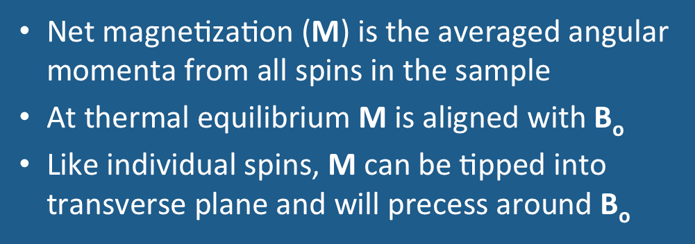 Net magnetization - Questions Answers ​in MRI