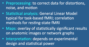 fMRI processing